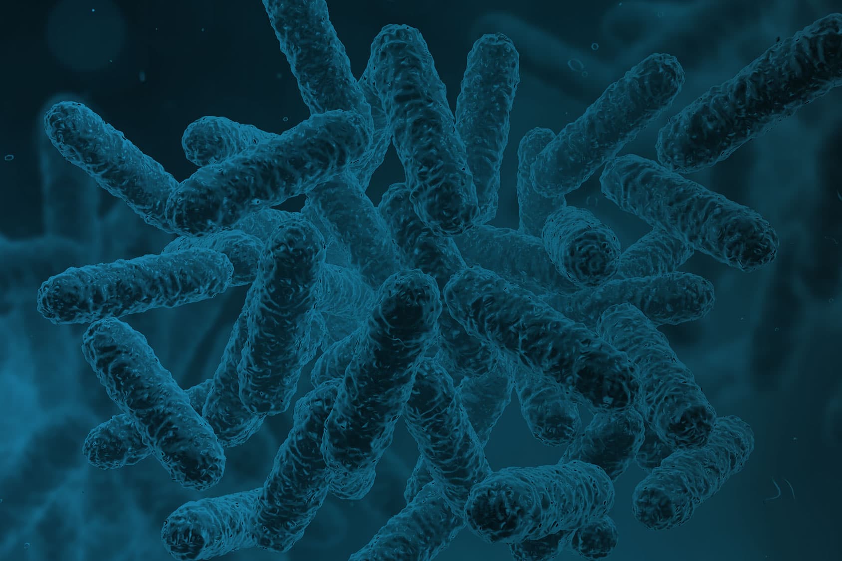 Nuove ricerche sul microbioma del cuoio capelluto