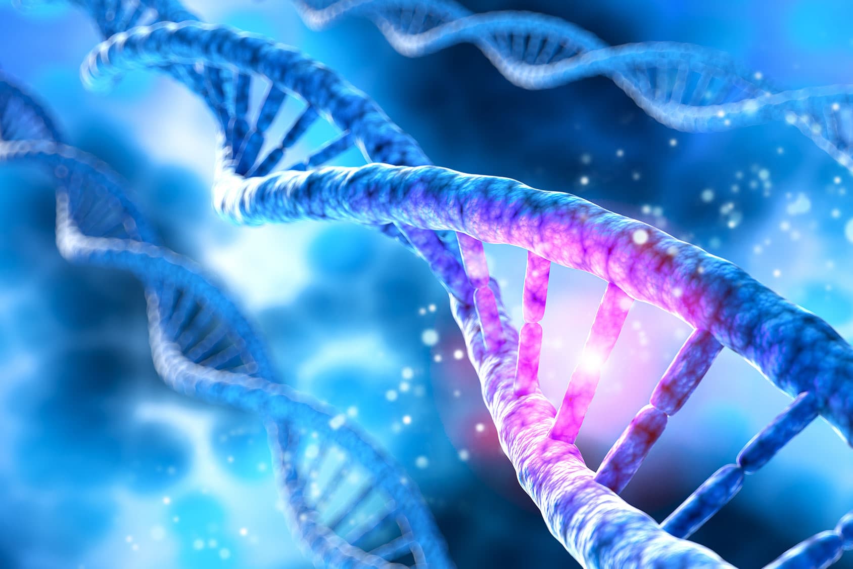 PROBIOTICI E PREBIOTICI: COSA SONO?