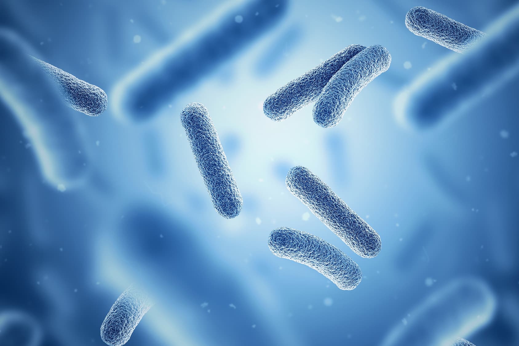 aggiornamenti sul microbioma