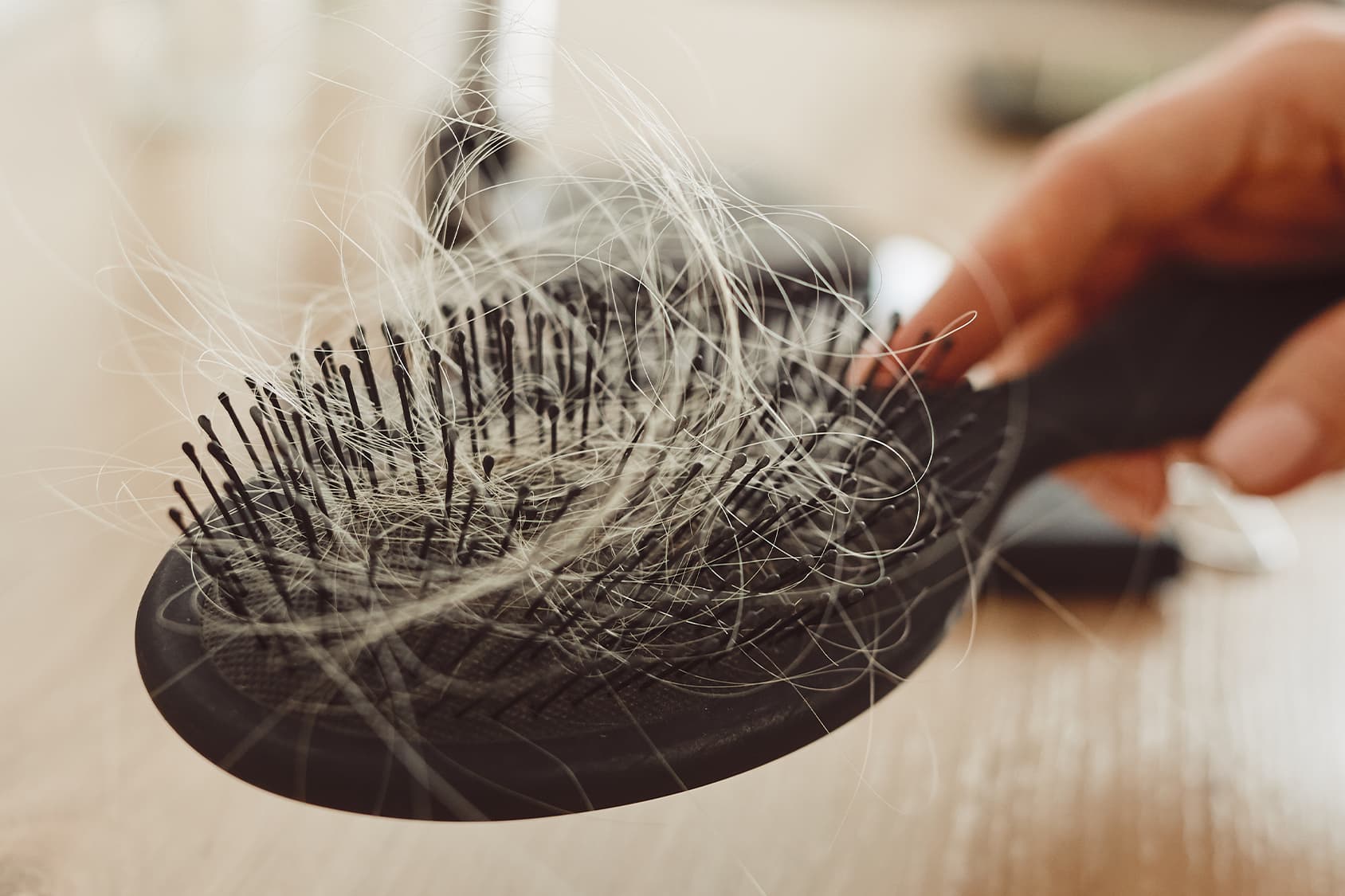 RITORNO IN CITTÀ: STOP ALLA CADUTA DEI CAPELLI A SETTEMBRE