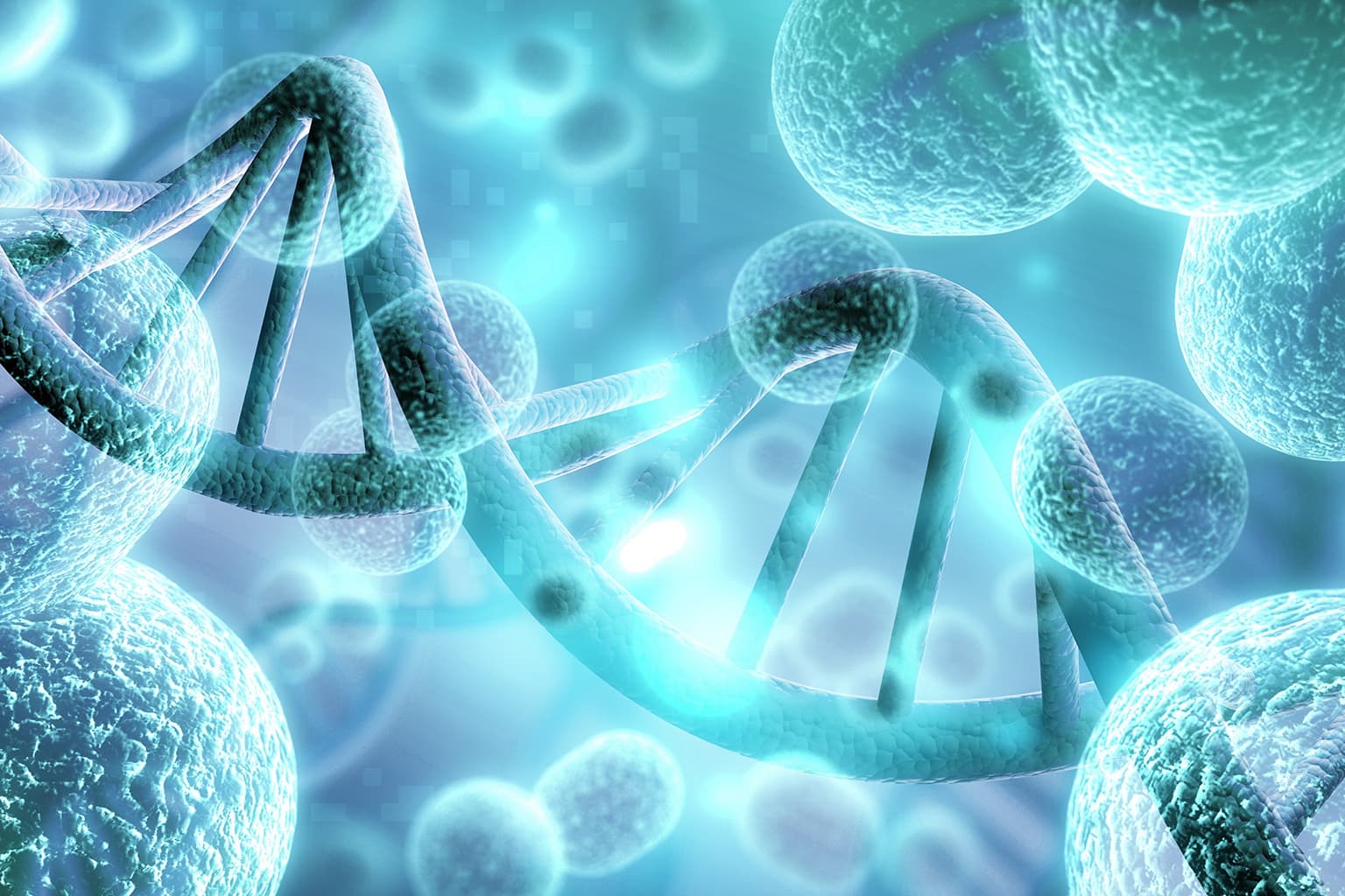 I POSTBIOTICI: LA NUOVA FRONTIERA DEL MICROBIOMA