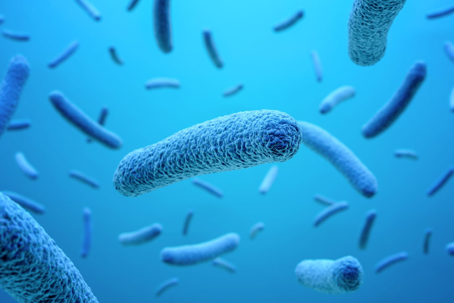 TUTTO QUELLO CHE NON SAI SUL MICROBIOMA