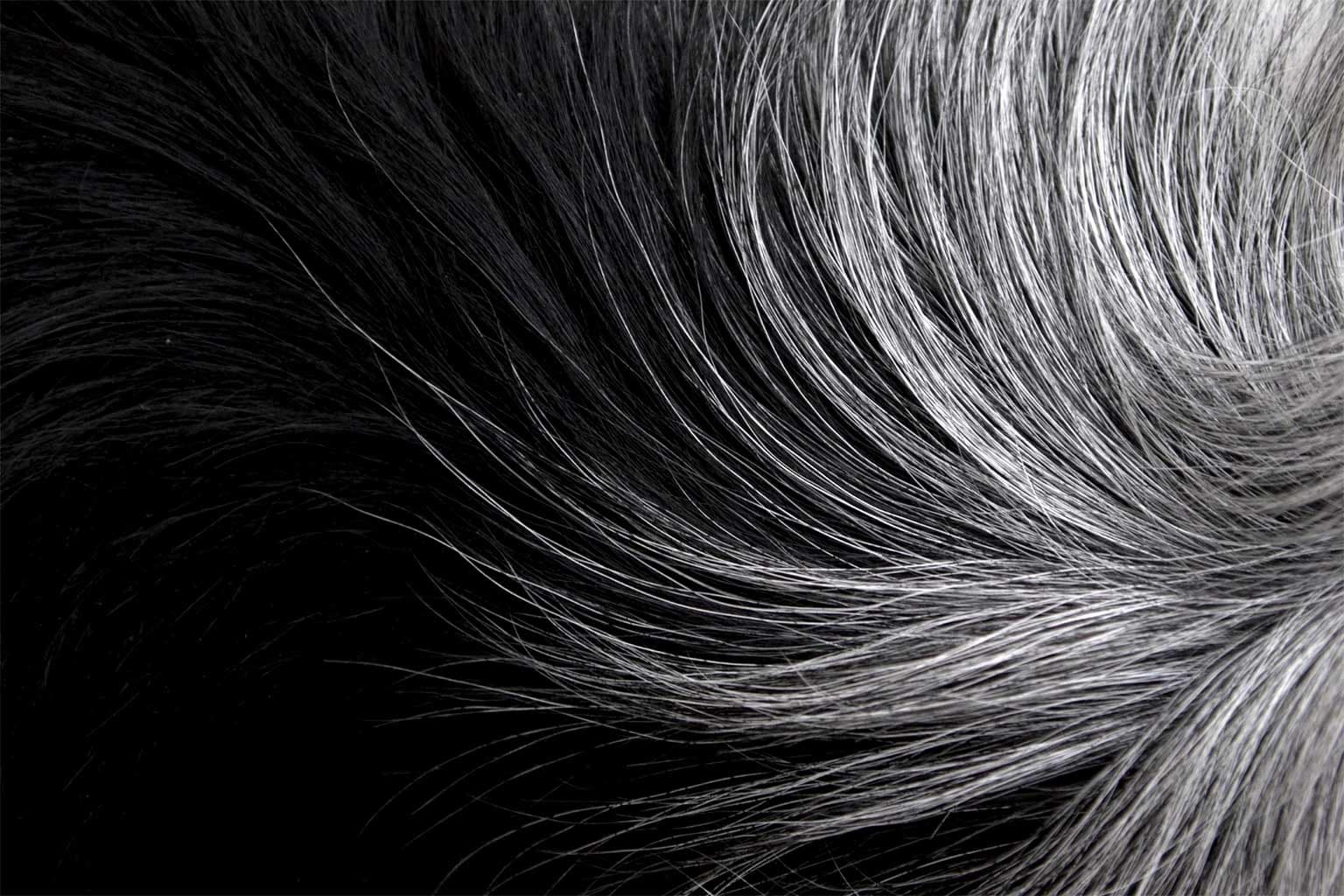 SCEGLIERE IL COLORE IN BASE ALLA PERCENTUALE DI CAPELLI BIANCHI