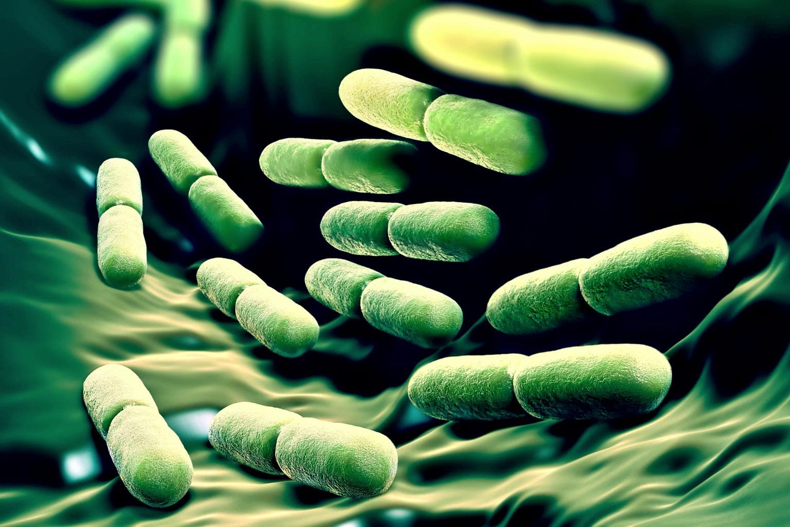 MICROBIOTA DEL CUOIO CAPELLUTO: I BENEFICI DEI PREBIOTICI E POSTBIOTICI