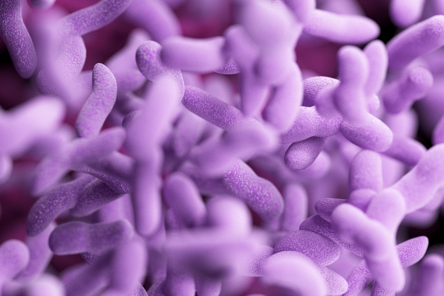 Il legame tra forfora e microbioma