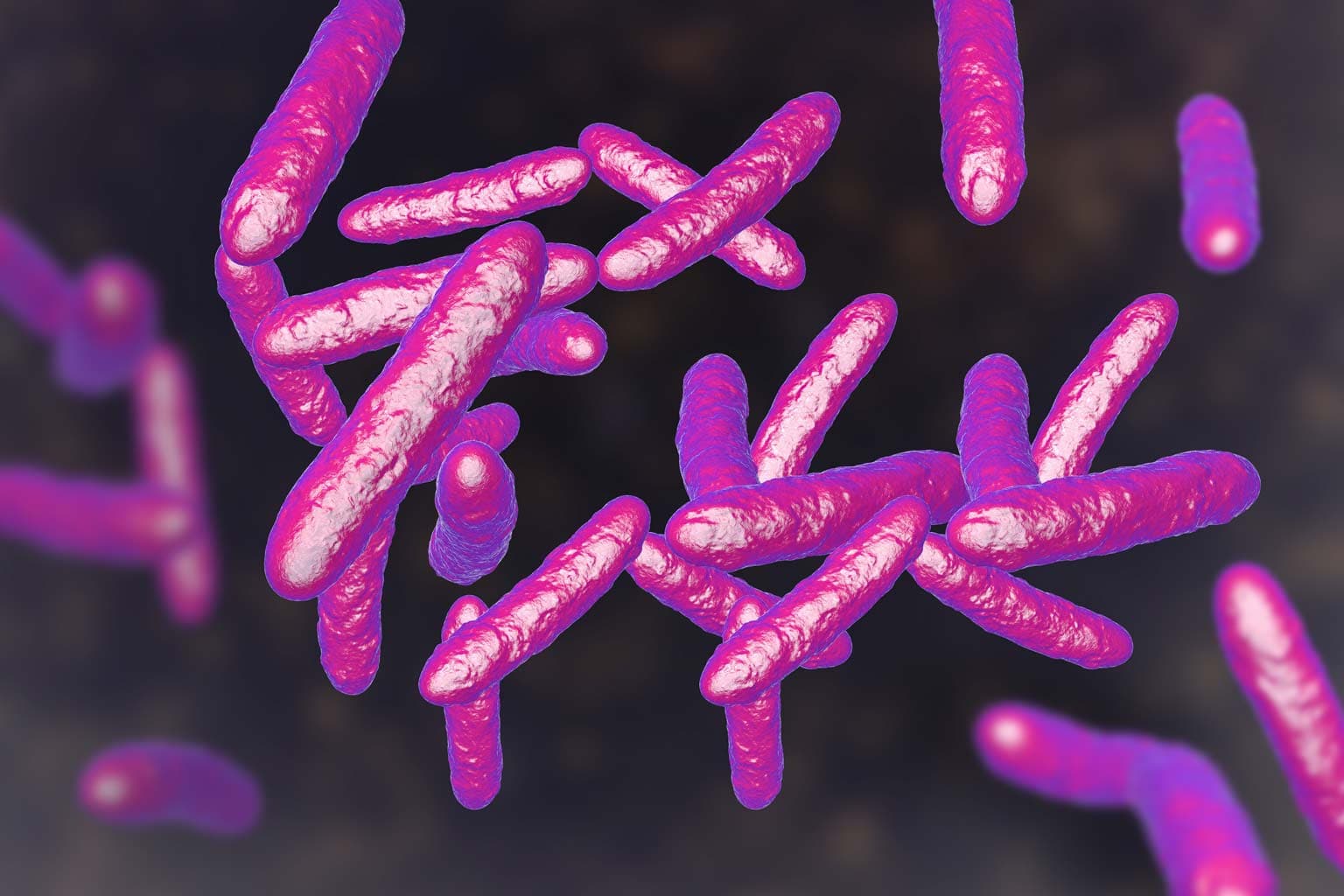 MICROBIOMA
