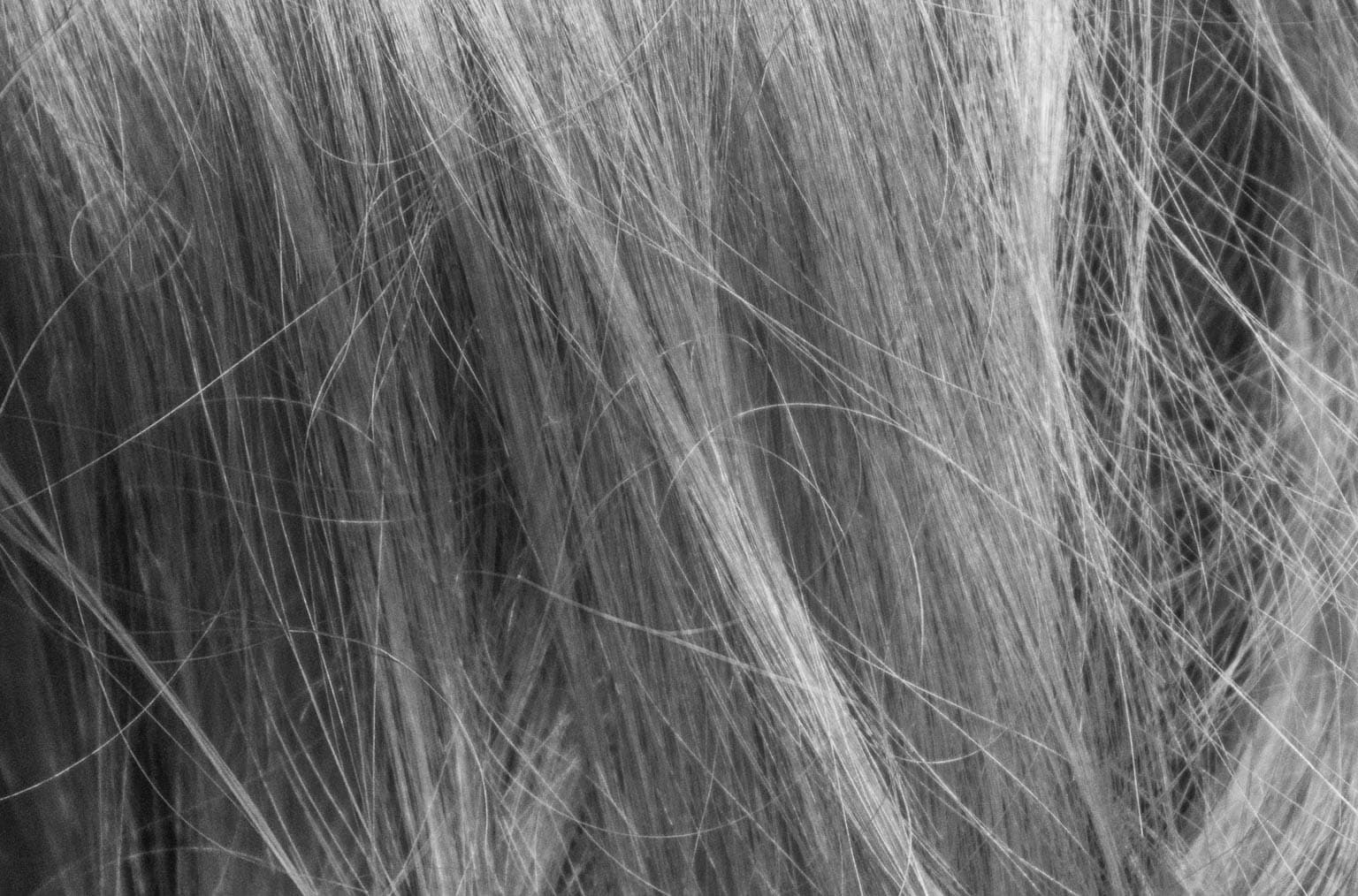 capelli bianchi