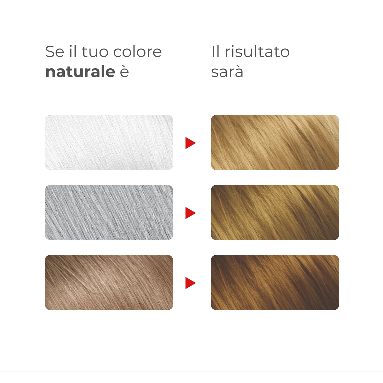 Guida ai risultati Bioscalin® NutriCOLOR+: confronto tra colore naturale di partenza e risultato finale con colore Biondo chiaro | #color_8 Biondo chiaro