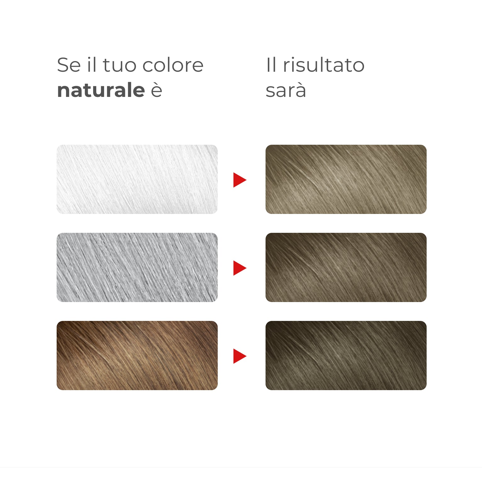 Guida ai risultati Bioscalin® NutriCOLOR+: confronto tra colore naturale di partenza e risultato finale con colore Biondo scuro freddo | #color_6.01 Biondo scuro freddo