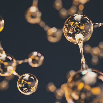 Molecola della Metilspermidina molecola che sostiene il rinnovamento cellulare e contribuisce alla vitalità del follicolo