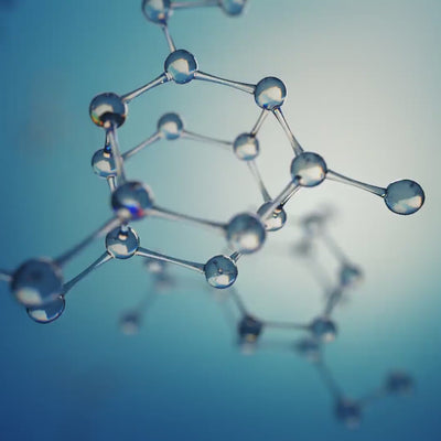 Fitosfingosina lipidico bioattivo che aiuta a rinforzare la barriera cutanea e migliorare la salute del cuoio capelluto